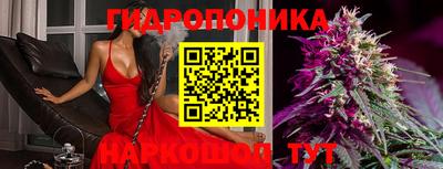 индика Свободный
