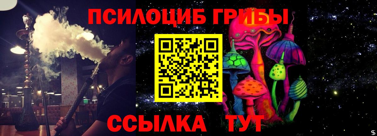 Галлюциногенные грибы ЛСД  где купить наркоту  Вход с VPN  Саратов  Псилоцибиновые грибы Psilocybine cubensis 
