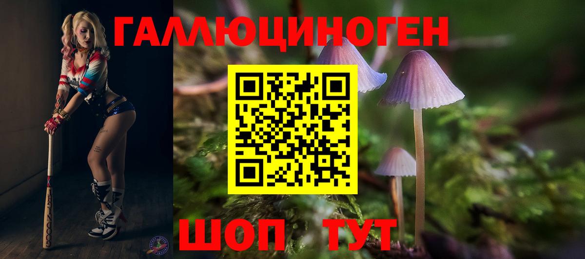 Галлюциногенные грибы Psilocybine cubensis Саратов
